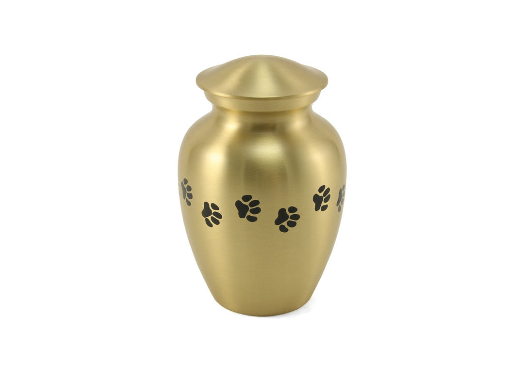 Classic Paws Bronze Extra Small