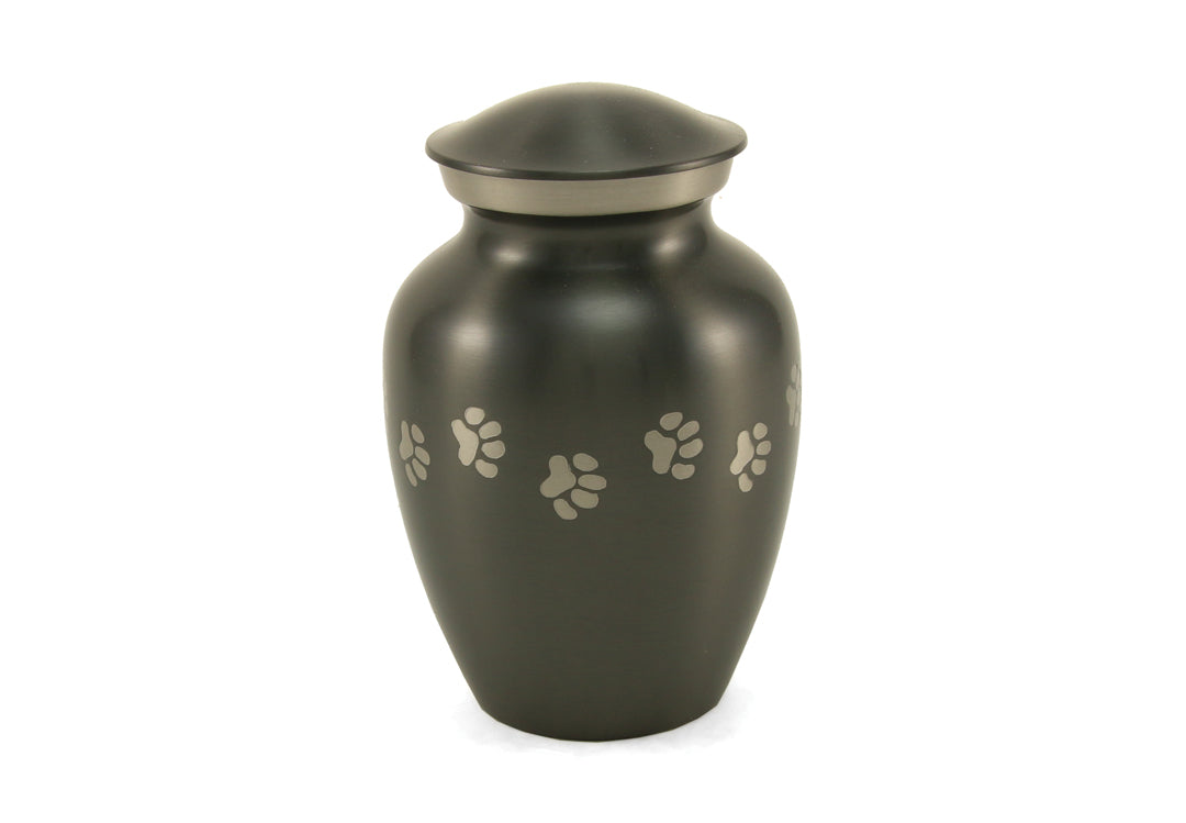 Classic Paws Slate XS