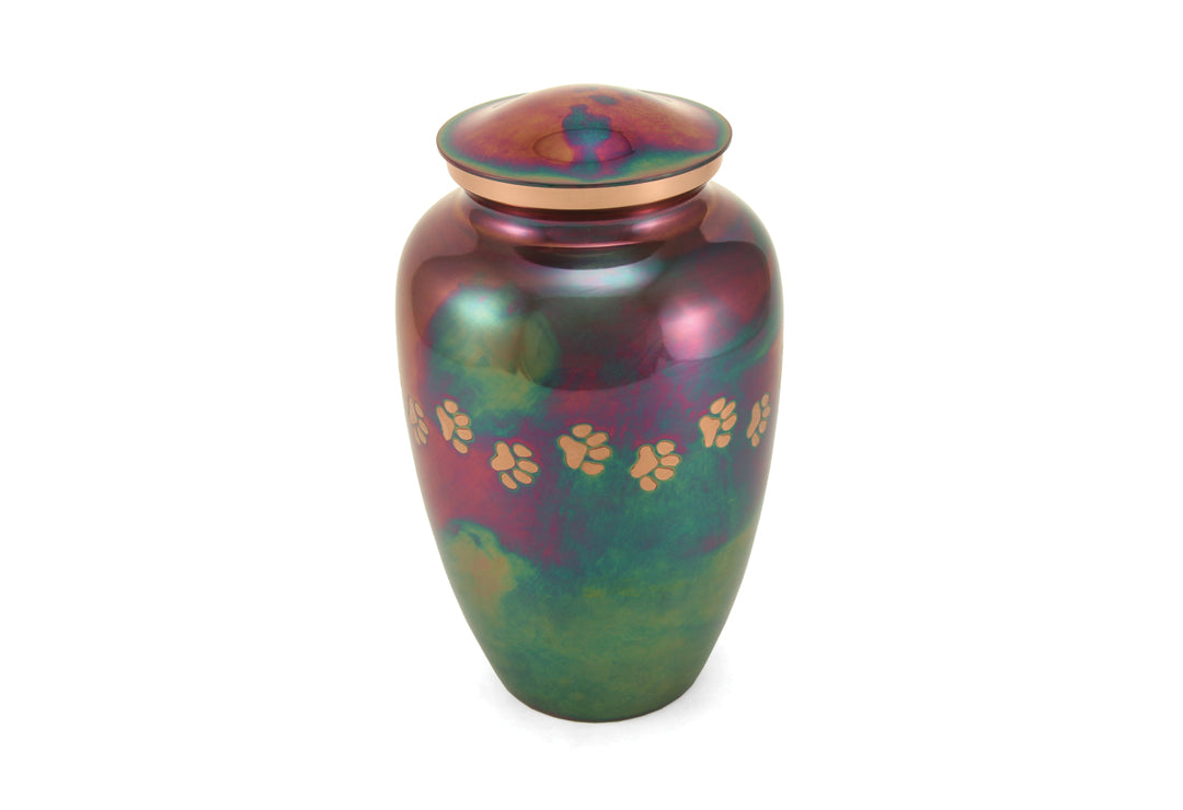 Classic Paws Raku Family