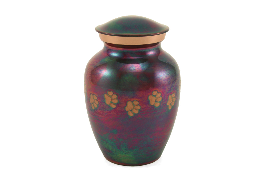 Classic Paws Raku XS