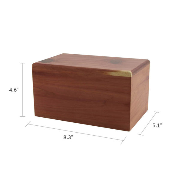 Cedar Box, Medium - Case of 8